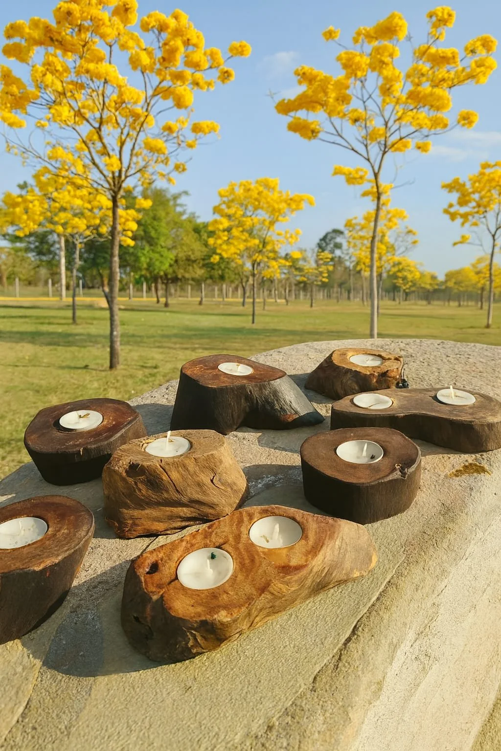 Obra de Arte 3